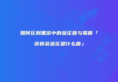 如何区别黑茶中的金花菌与霉菌「茯砖茶金花是什么菌」