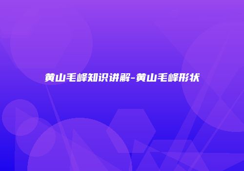 黄山毛峰知识讲解-黄山毛峰形状