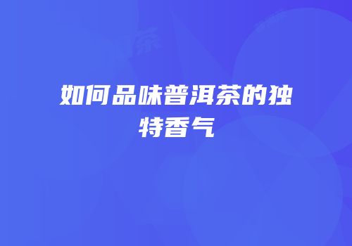 如何品味普洱茶的独特香气