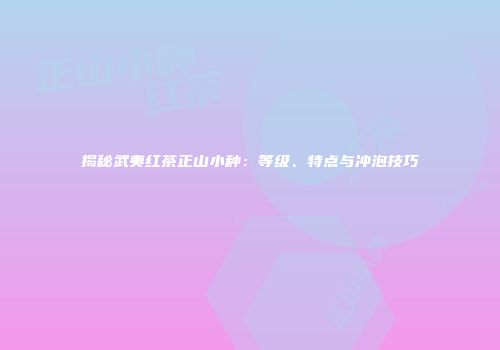 揭秘武夷红茶正山小种：等级、特点与冲泡技巧