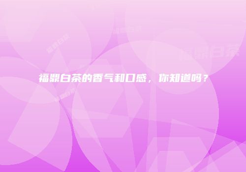 福鼎白茶的香气和口感，你知道吗？