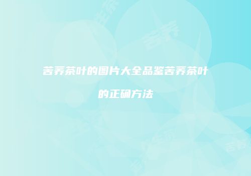 苦荞茶叶的图片大全品鉴苦荞茶叶的正确方法