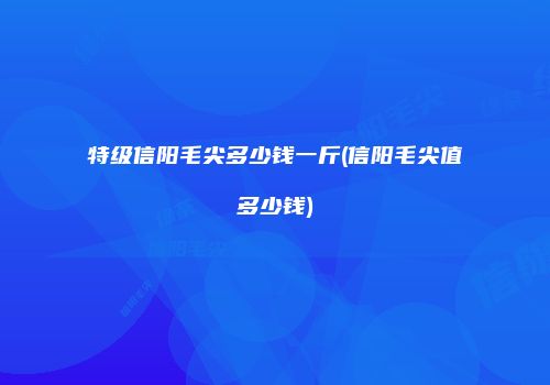 特级信阳毛尖多少钱一斤(信阳毛尖值多少钱)
