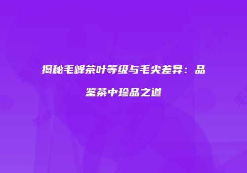 揭秘毛峰茶叶等级与毛尖差异：品鉴茶中珍品之道
