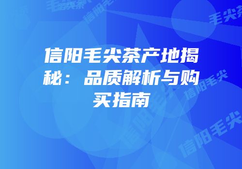 信阳毛尖茶产地揭秘：品质解析与购买指南