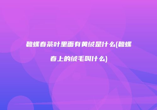 碧螺春茶叶里面有黄绒是什么(碧螺春上的绒毛叫什么)