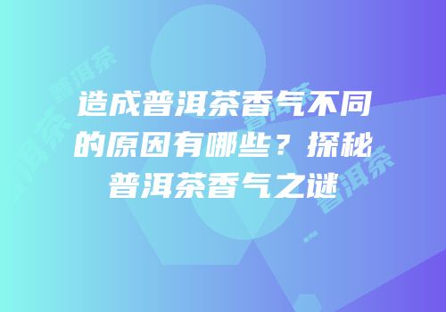 造成普洱茶香气不同的原因有哪些？探秘普洱茶香气之谜