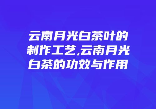 云南月光白茶叶的制作工艺,云南月光白茶的功效与作用