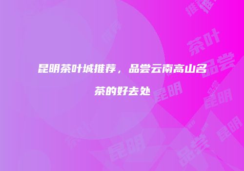 昆明茶叶城推荐，品尝云南高山名茶的好去处