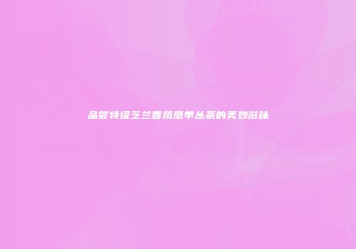 品尝特级芝兰香凤凰单丛茶的美妙滋味