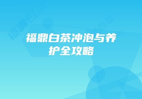 福鼎白茶冲泡与养护全攻略