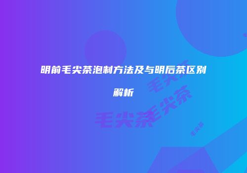 明前毛尖茶泡制方法及与明后茶区别解析