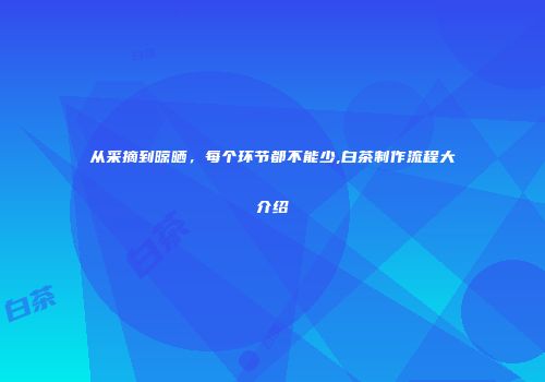 从采摘到晾晒，每个环节都不能少,白茶制作流程大介绍