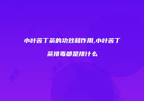 小叶苦丁茶的功效和作用,小叶苦丁茶排毒都是排什么