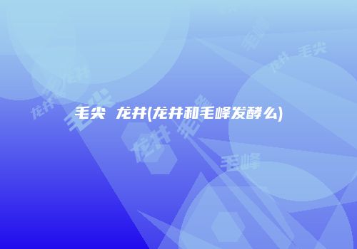 毛尖 龙井(龙井和毛峰发酵么)