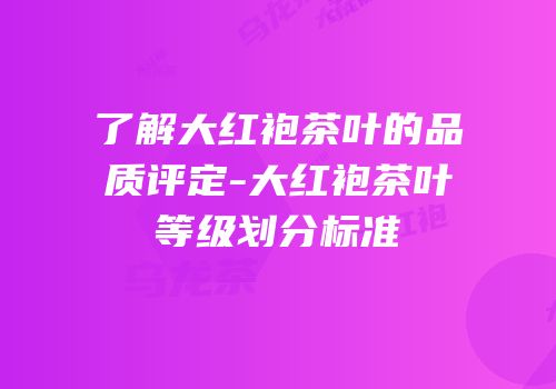 了解大红袍茶叶的品质评定-大红袍茶叶等级划分标准