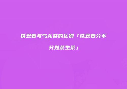 铁观音与乌龙茶的区别「铁观音分不分熟茶生茶」