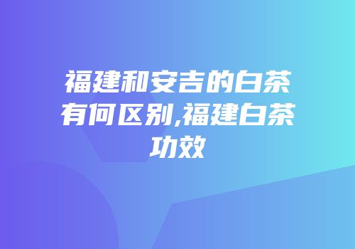 福建和安吉的白茶有何区别,福建白茶功效
