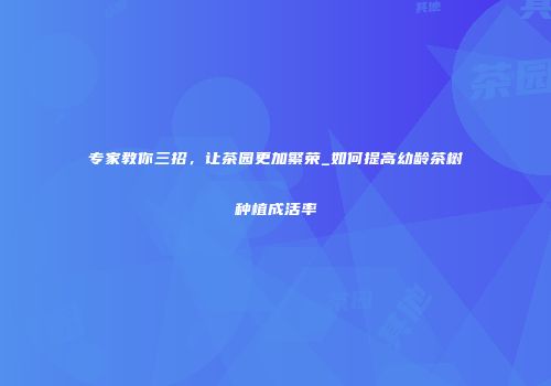 专家教你三招，让茶园更加繁荣_如何提高幼龄茶树种植成活率