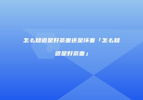 怎么知道是好茶壶还是坏壶「怎么知道是好茶壶」