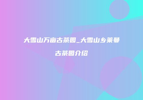 大雪山万亩古茶园_大雪山乡莱曼古茶园介绍