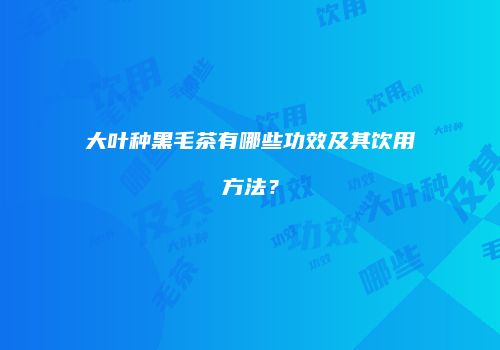 大叶种黑毛茶有哪些功效及其饮用方法？
