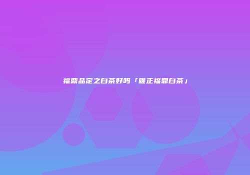福鼎品定之白茶好吗「唯正福鼎白茶」