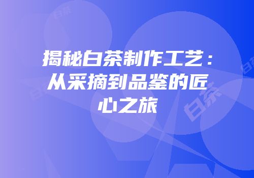 揭秘白茶制作工艺：从采摘到品鉴的匠心之旅