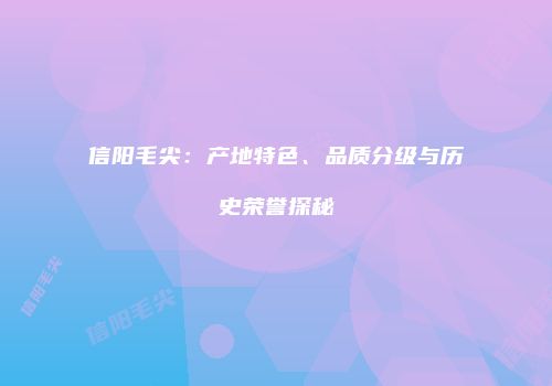 信阳毛尖：产地特色、品质分级与历史荣誉探秘