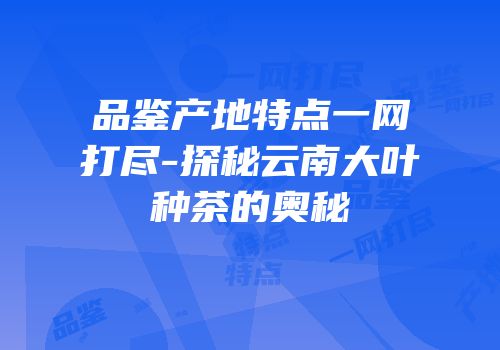 品鉴产地特点一网打尽-探秘云南大叶种茶的奥秘