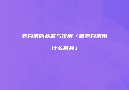 老白茶的品鉴与饮用「喝老白茶用什么茶具」