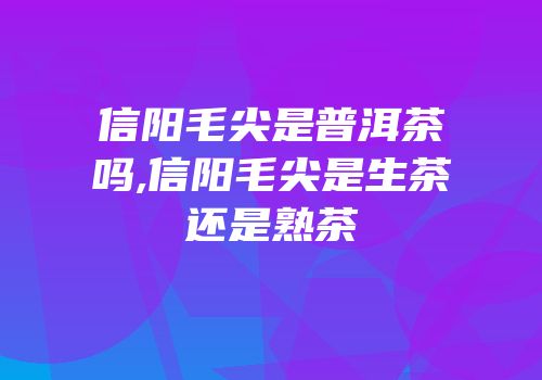 信阳毛尖是普洱茶吗,信阳毛尖是生茶还是熟茶