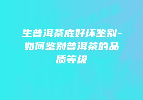 生普洱茶底好坏鉴别-如何鉴别普洱茶的品质等级