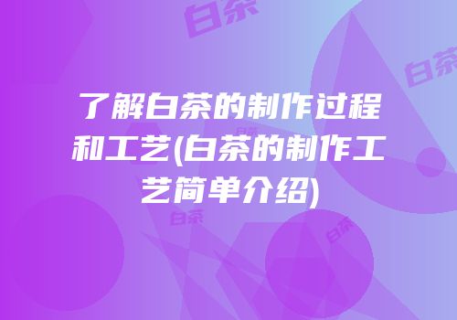 了解白茶的制作过程和工艺(白茶的制作工艺简单介绍)