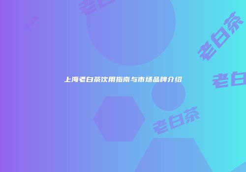上海老白茶饮用指南与市场品牌介绍