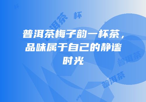 普洱茶梅子韵一杯茶，品味属于自己的静谧时光
