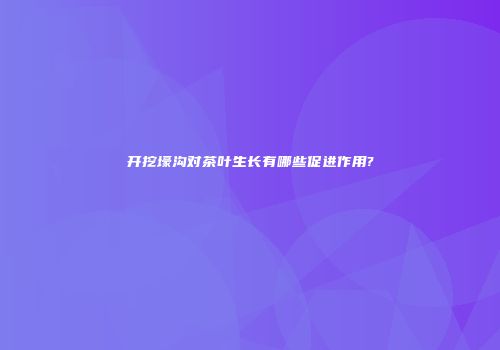 开挖壕沟对茶叶生长有哪些促进作用?
