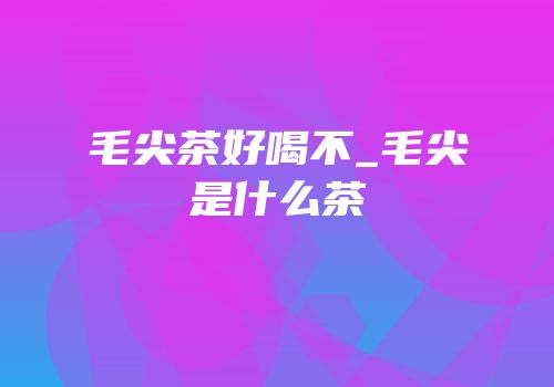 毛尖茶好喝不_毛尖是什么茶