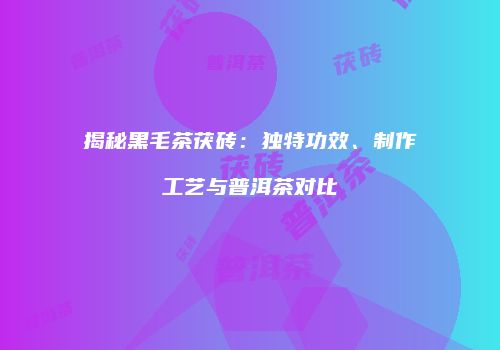 揭秘黑毛茶茯砖：独特功效、制作工艺与普洱茶对比