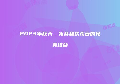 2023年秋天，冰茶和铁观音的完美结合