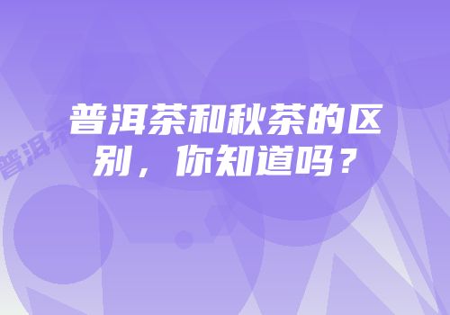 普洱茶和秋茶的区别，你知道吗？