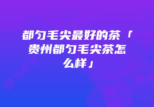都匀毛尖最好的茶「贵州都匀毛尖茶怎么样」