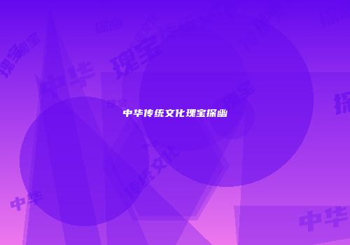 中华传统文化瑰宝探幽