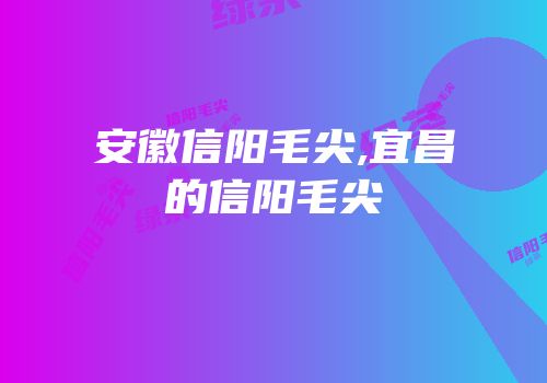 安徽信阳毛尖,宜昌的信阳毛尖