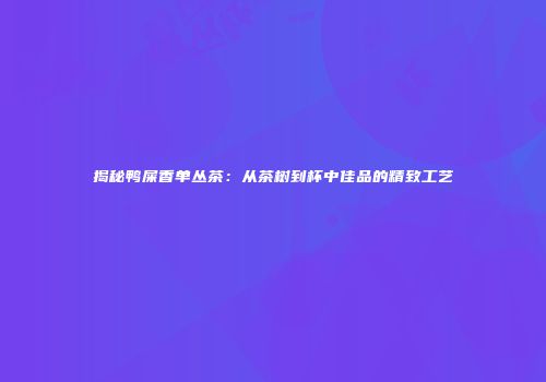 揭秘鸭屎香单丛茶：从茶树到杯中佳品的精致工艺