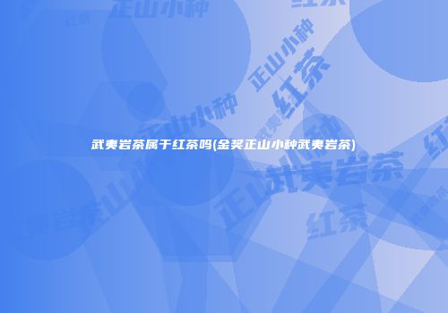 武夷岩茶属于红茶吗(金奖正山小种武夷岩茶)
