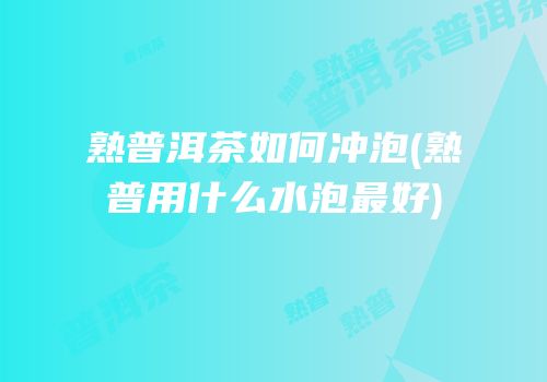 熟普洱茶如何冲泡(熟普用什么水泡最好)