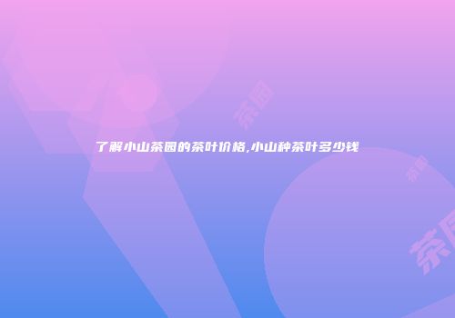 了解小山茶园的茶叶价格,小山种茶叶多少钱