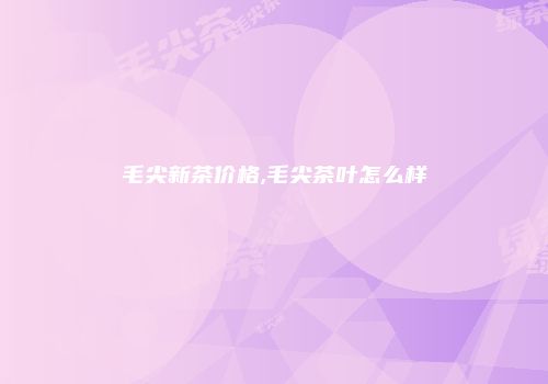毛尖新茶价格,毛尖茶叶怎么样