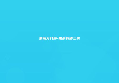黑茶分几种-黑茶有哪三尖